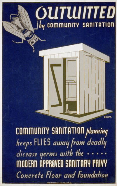 Outwitted by community sanitation